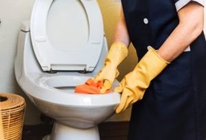 toilet cleaner